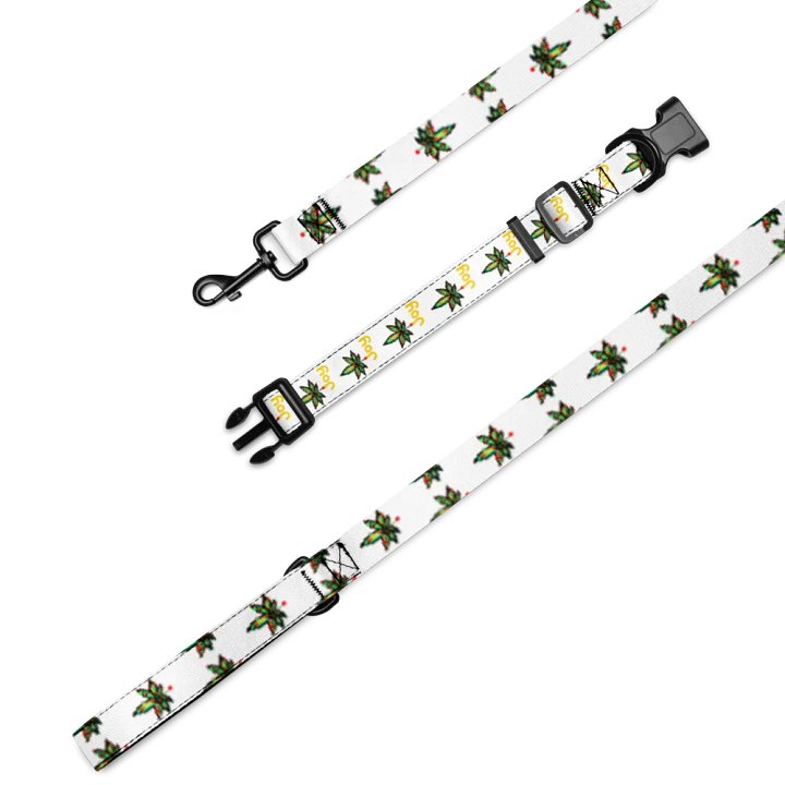 Joy leaf Pet Collar & Leash Set product image (1)