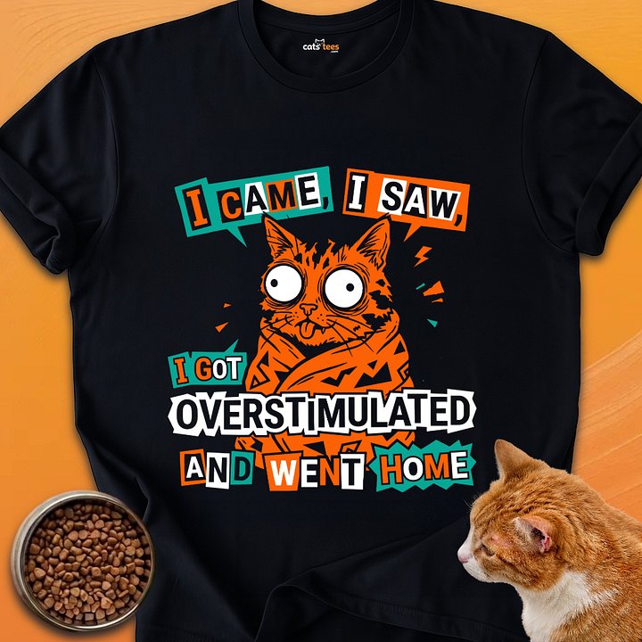 I Got Overstimulated product image (1)
