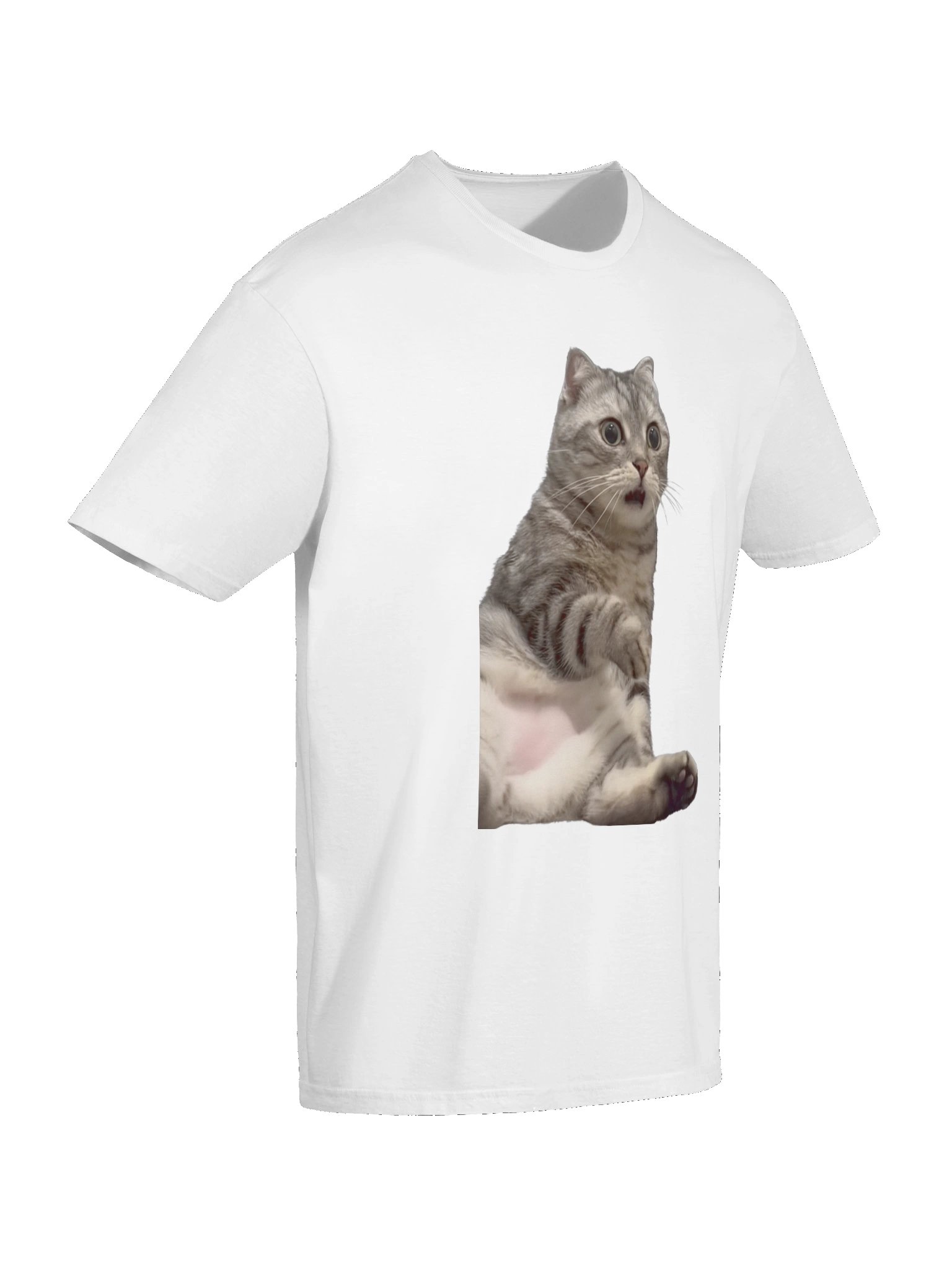 Scared Cat Meme T-Shirt product image (10)