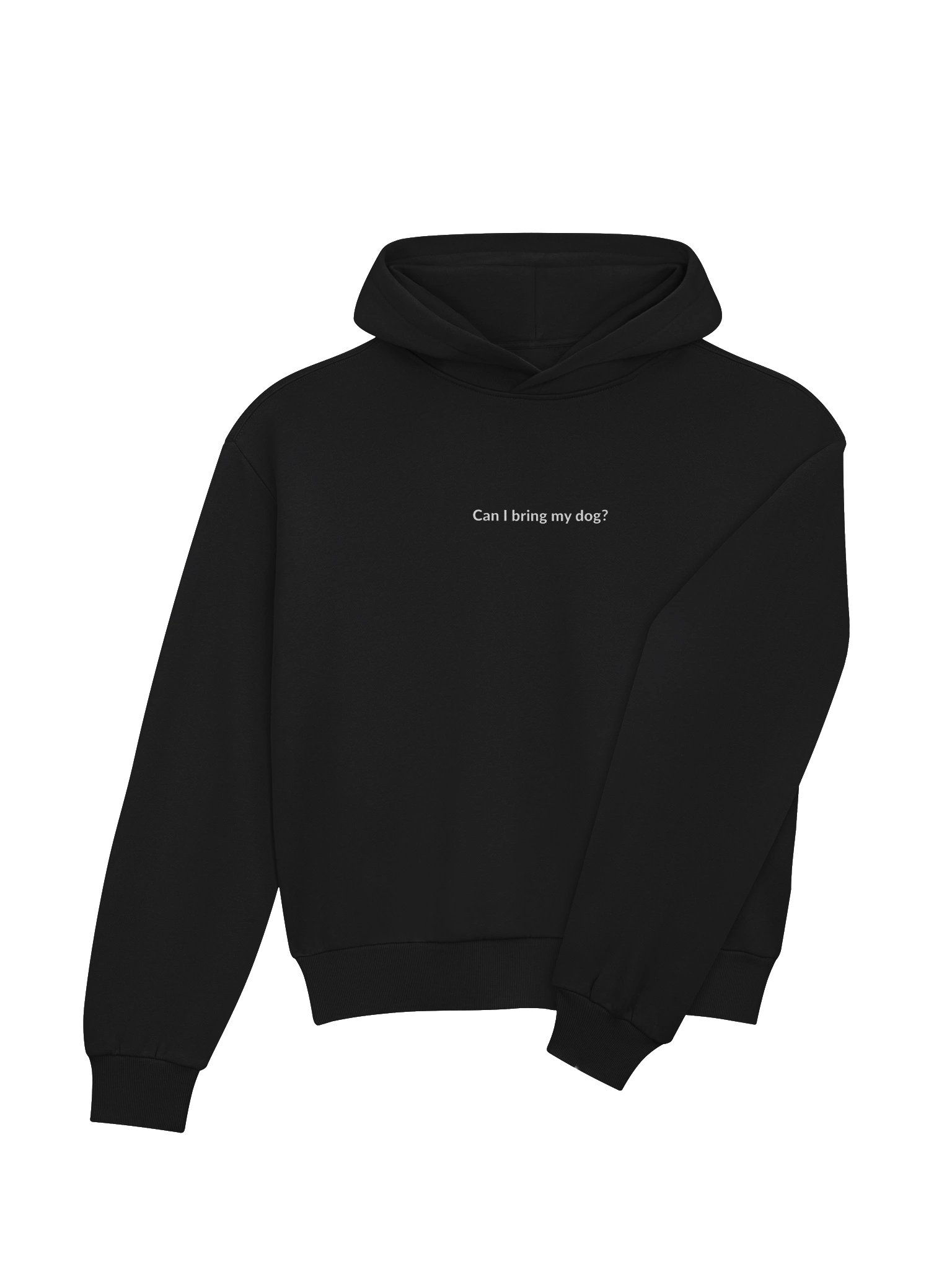 Can I Bring My Dog? Boxy Hoodie product image (17)