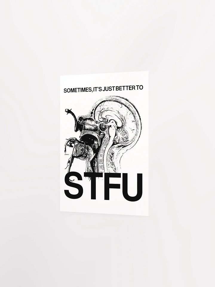 STFU - Poster product image (7)