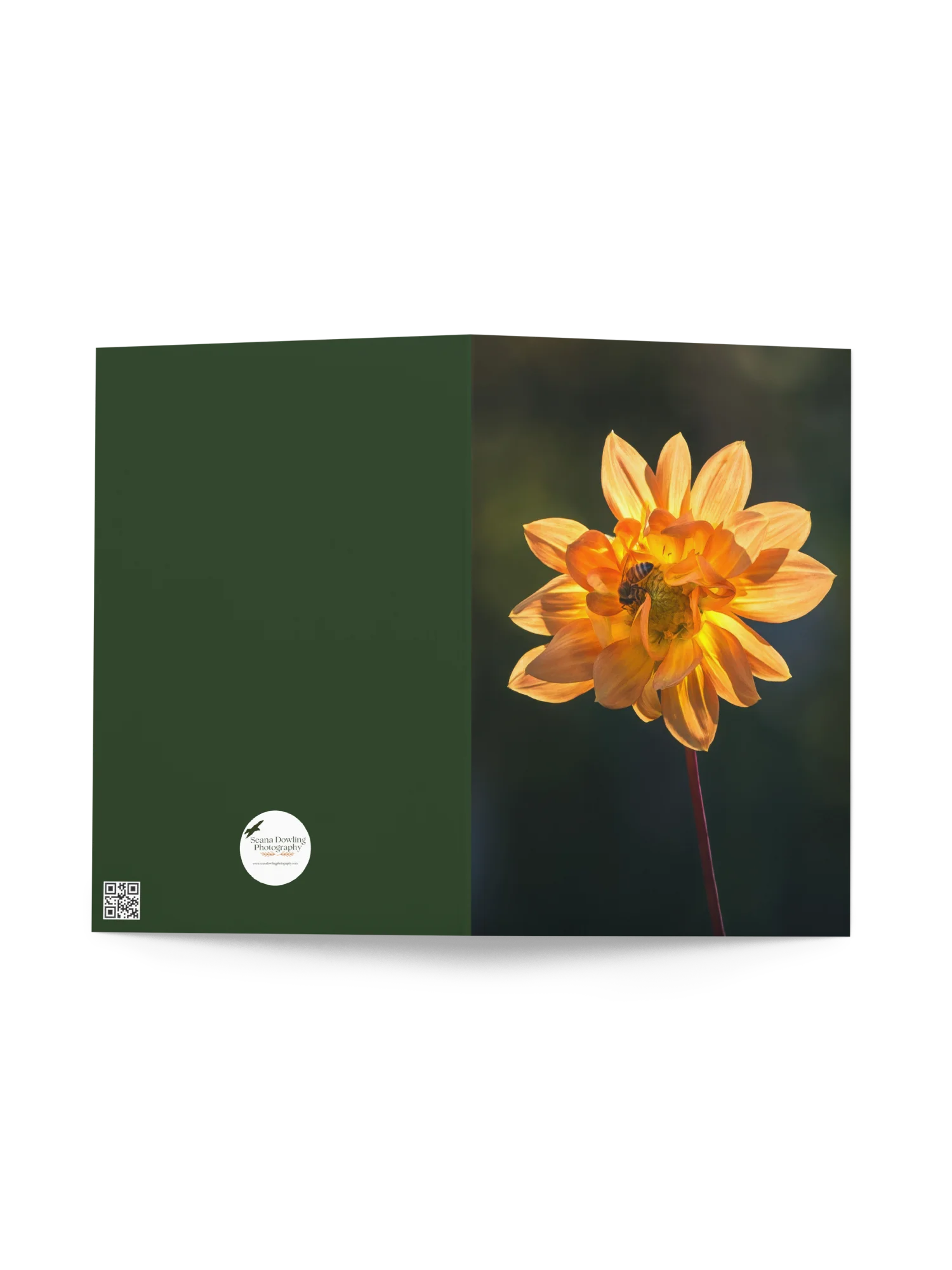 Busy Bee in Dahlia Notecard product image (2)
