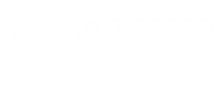 Chess Saviya Store