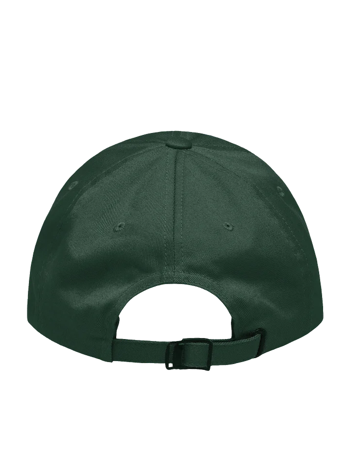 *Limited Release* Superfan Swagger Cap product image (2)