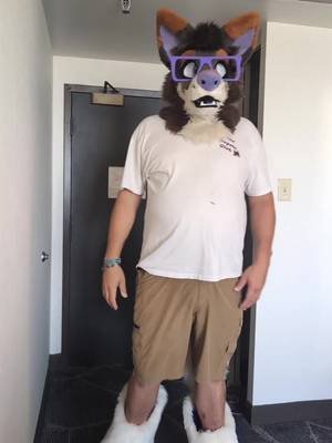 I'm so sorry @Lobo🔜FWA @Swifty🔜FWA #fwa 