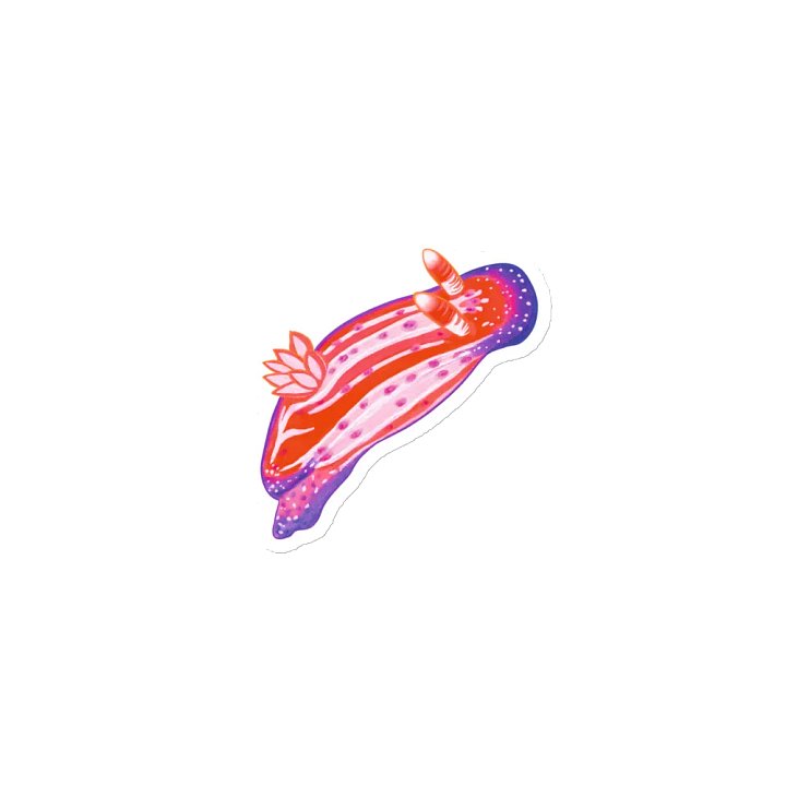 Sea Slugs: Set 1, Hypselodoris Maculosa - Magnet product image (1)