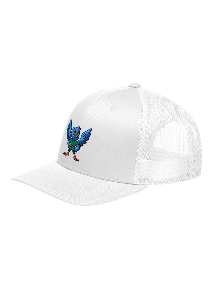 Pigeon Boy product image (2)