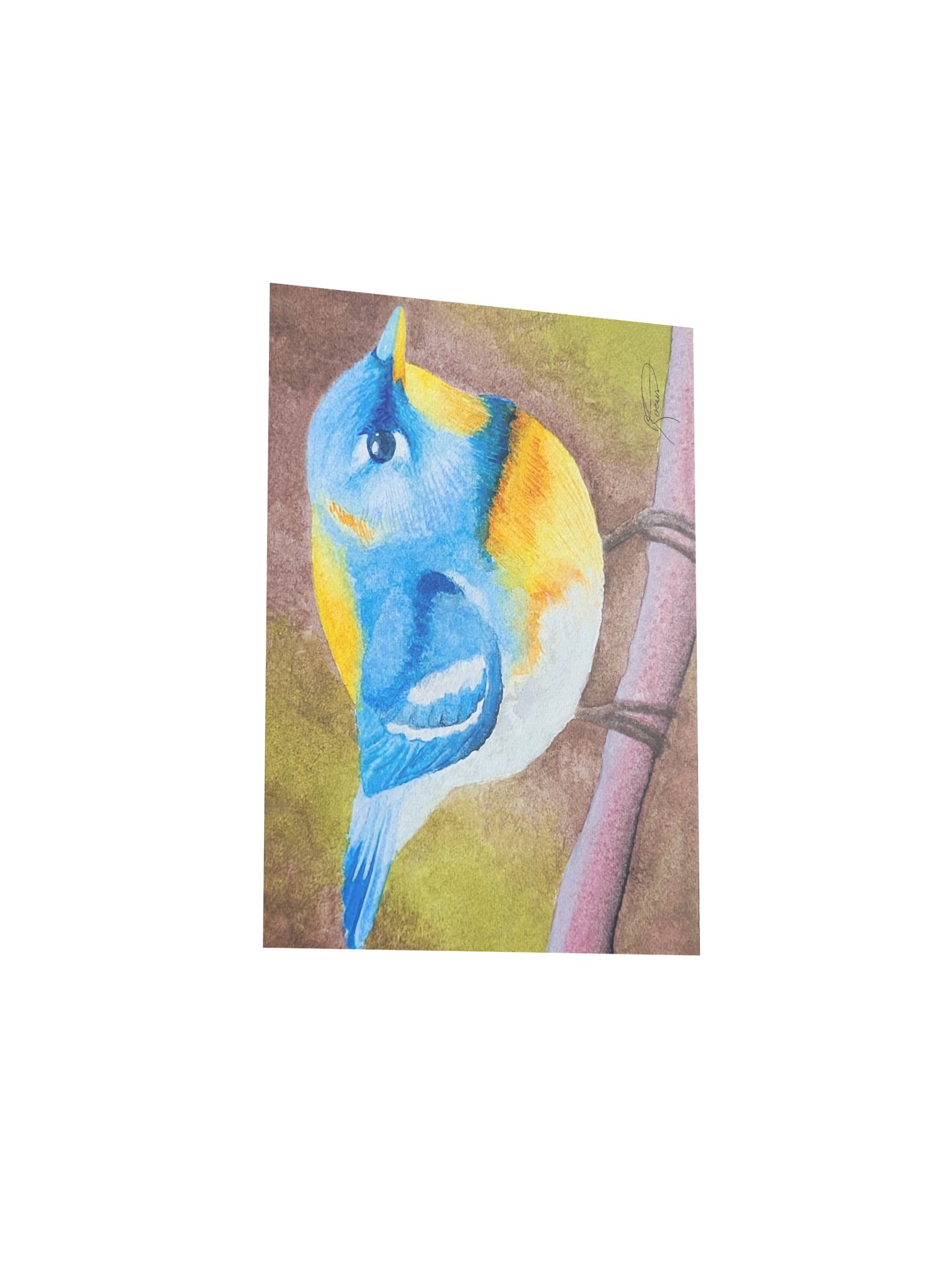 Northern Parula (2026) - Watercolour Print product image (4)