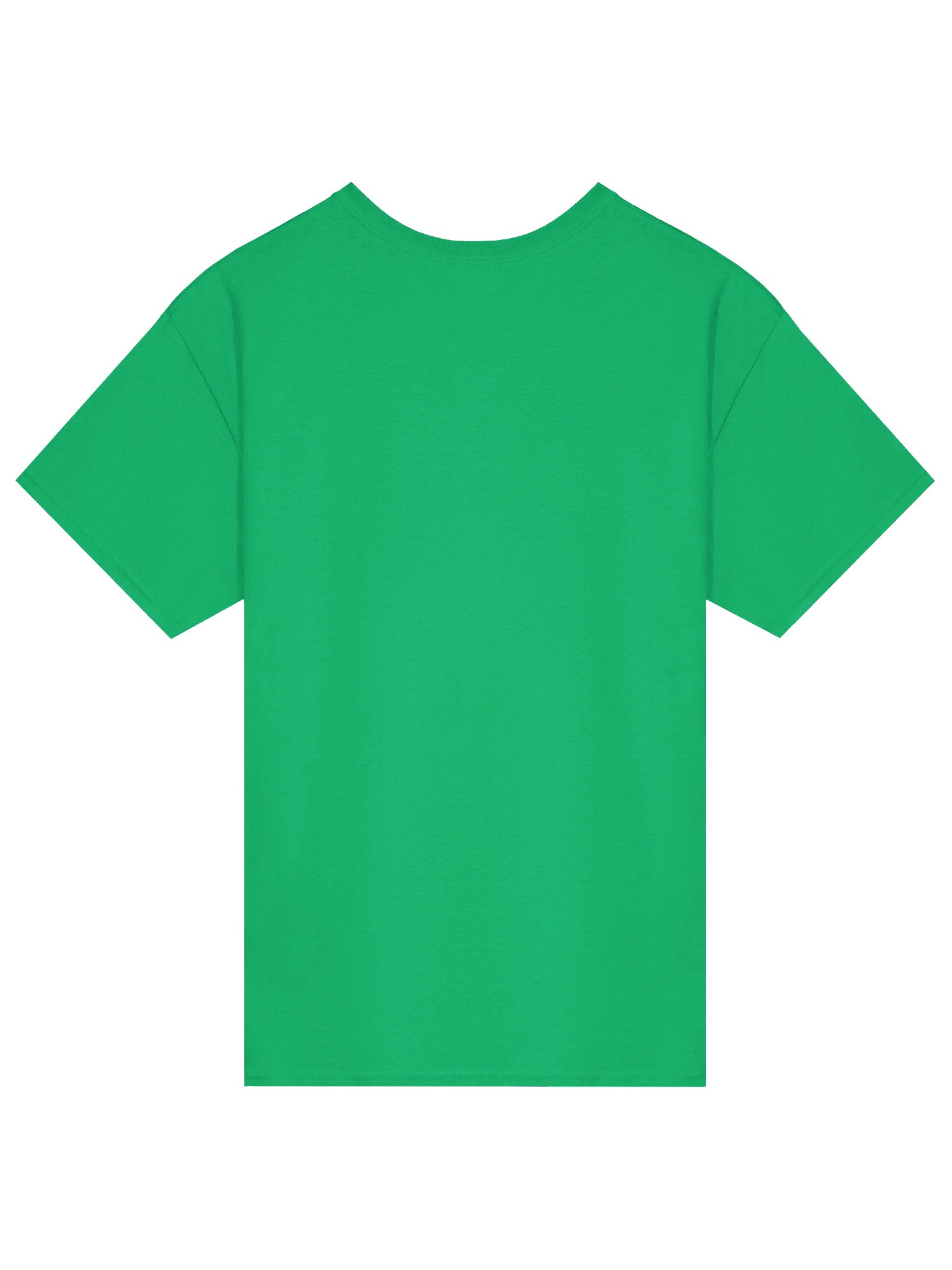 AppalShirt (Green) product image (4)