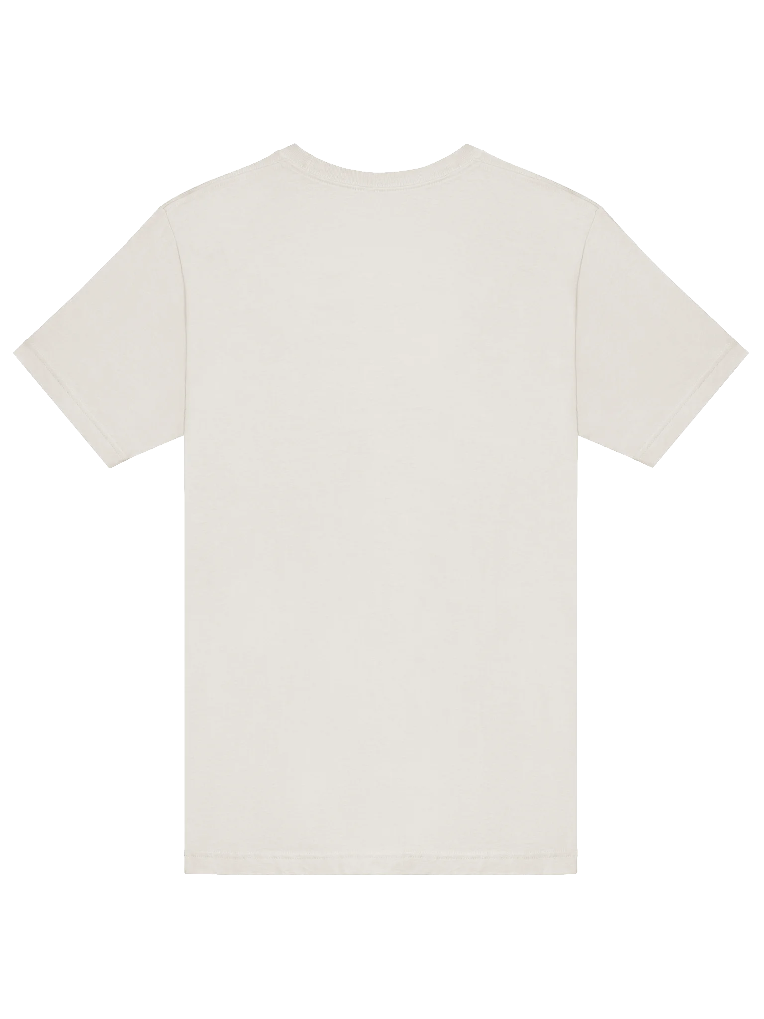 Vapourwave Skyks t-shirt (light edition) product image (6)