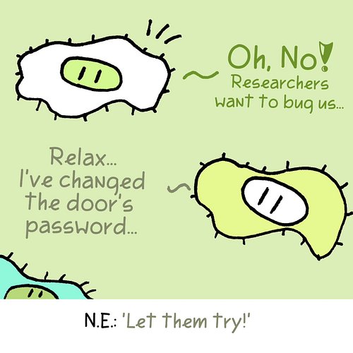 Pigells argue about security... Nothing strange... 

All of this oddities and many more in: www.pupsies.com/en

#pupsies #com...