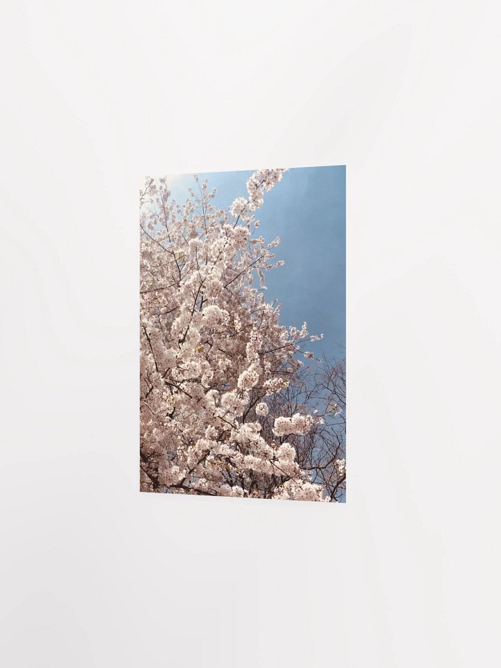 Primavera - Enhanced Matte Paper Poster product image (5)