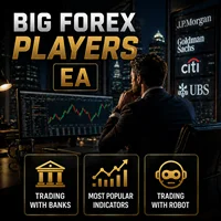 Big Forex Player MT4 version 3.1 product image (2)