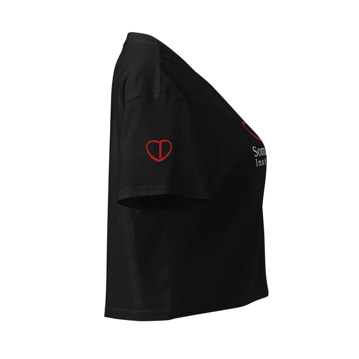 Somatica Institute Embroidered on Women's Crop Top product image (2)