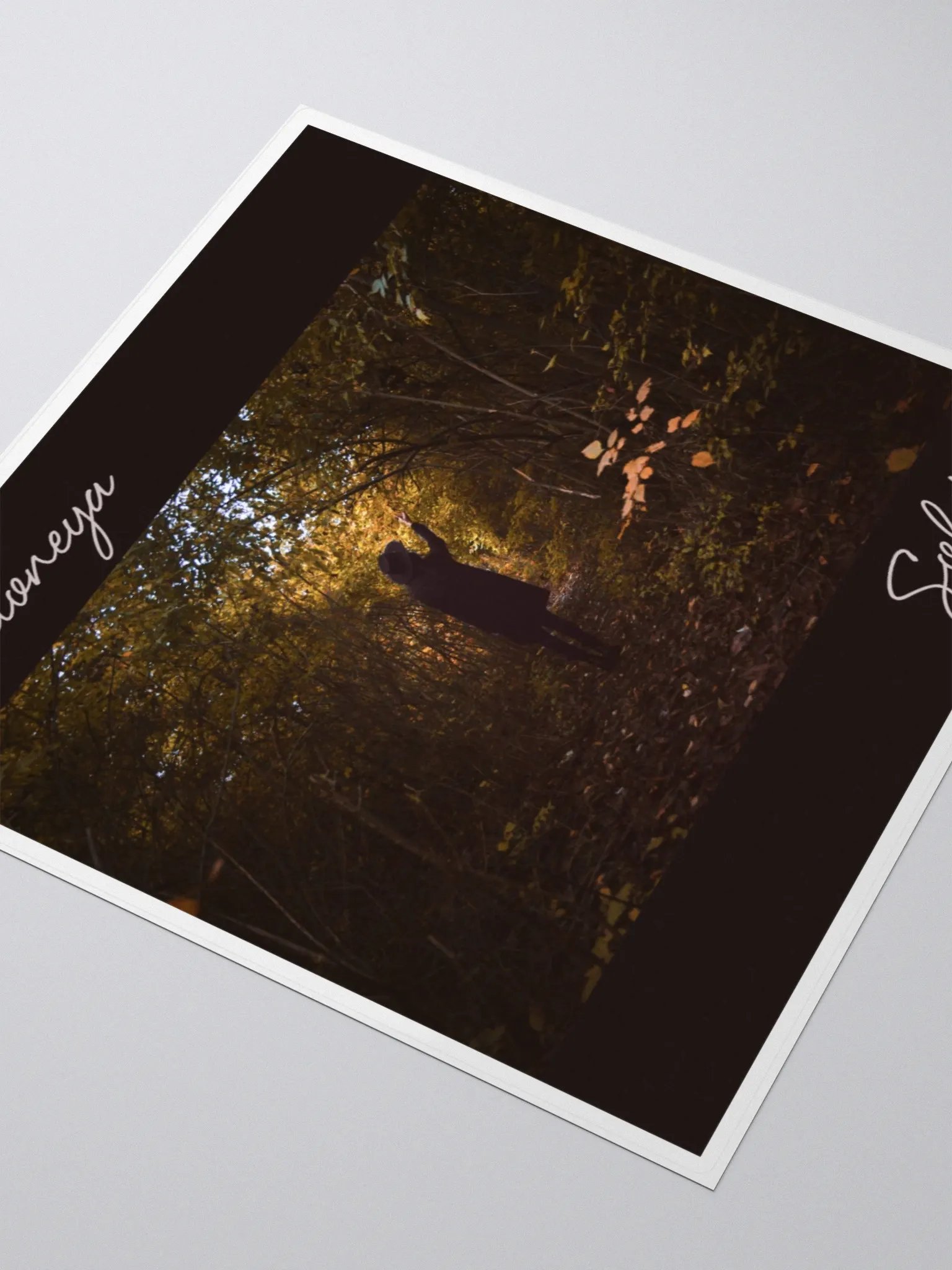 Solstice stickers product image (9)