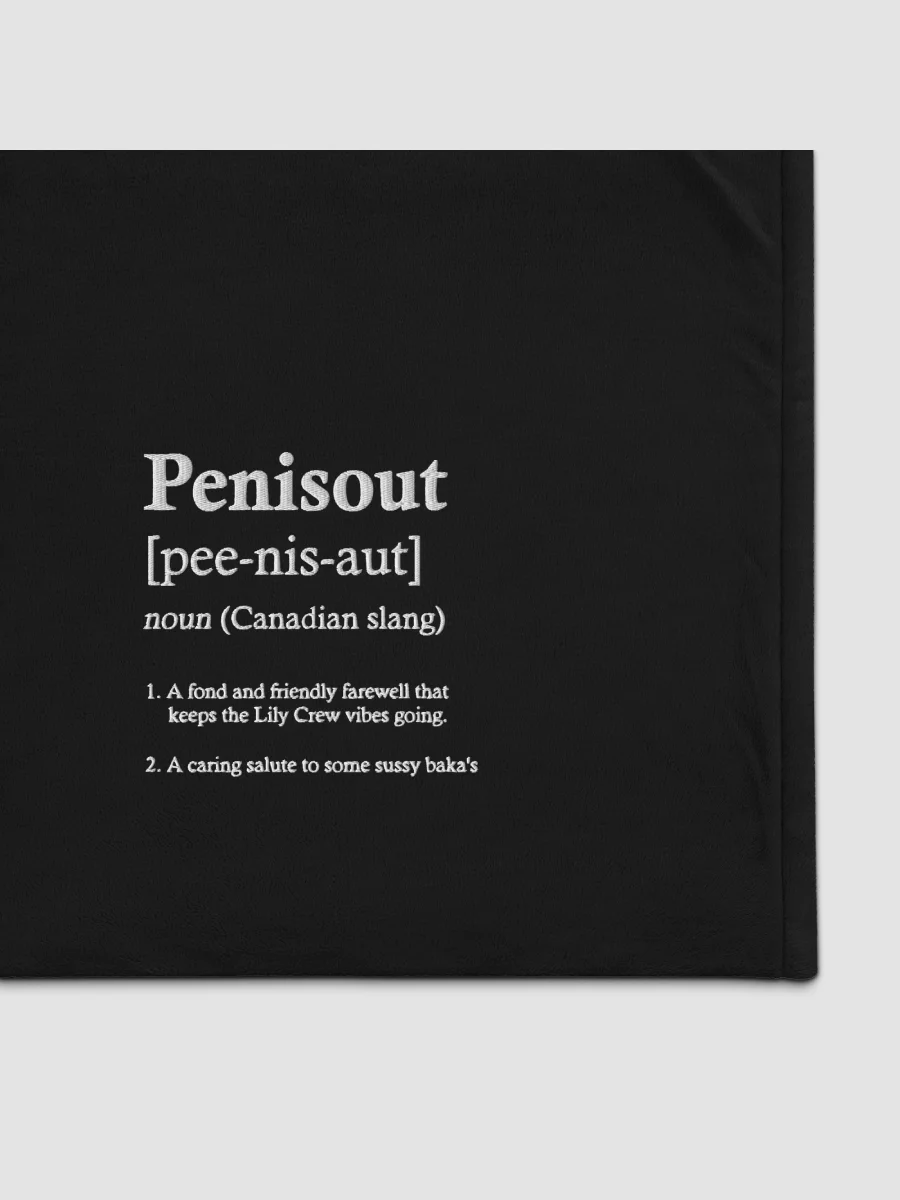 P****out ~Port Authority Embroidered Premium Sherpa Blanket product image (1)