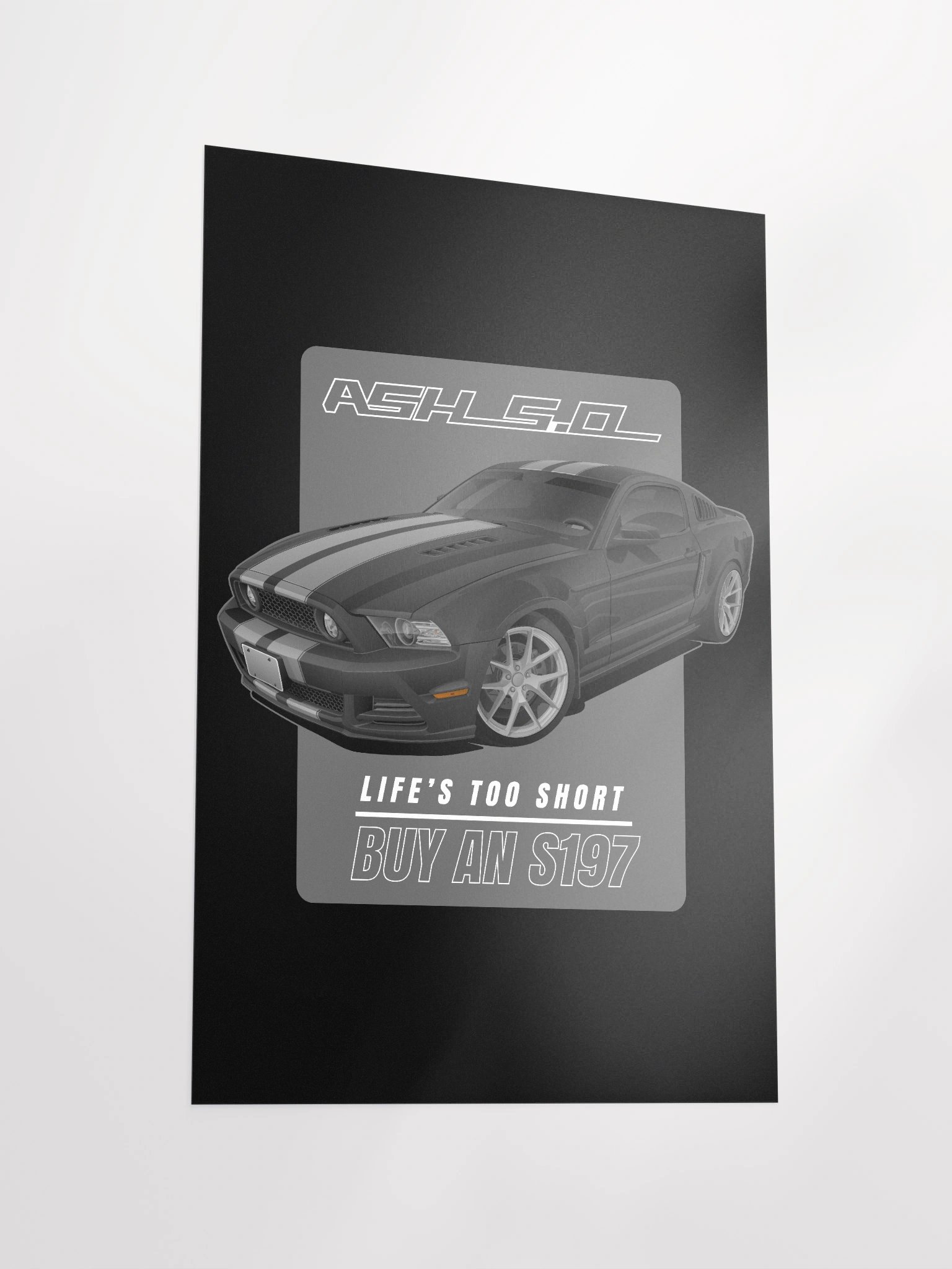 Poster - Ashton's S197 product image (3)