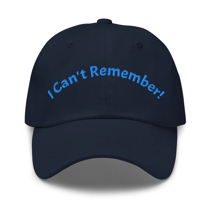 I Can't Remember Embroidered Hat product image (1)