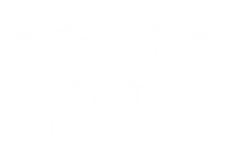FARSIGHT