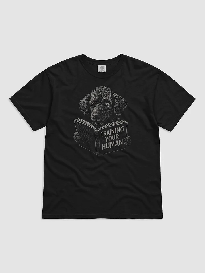 poodle cheat codes product image (1)
