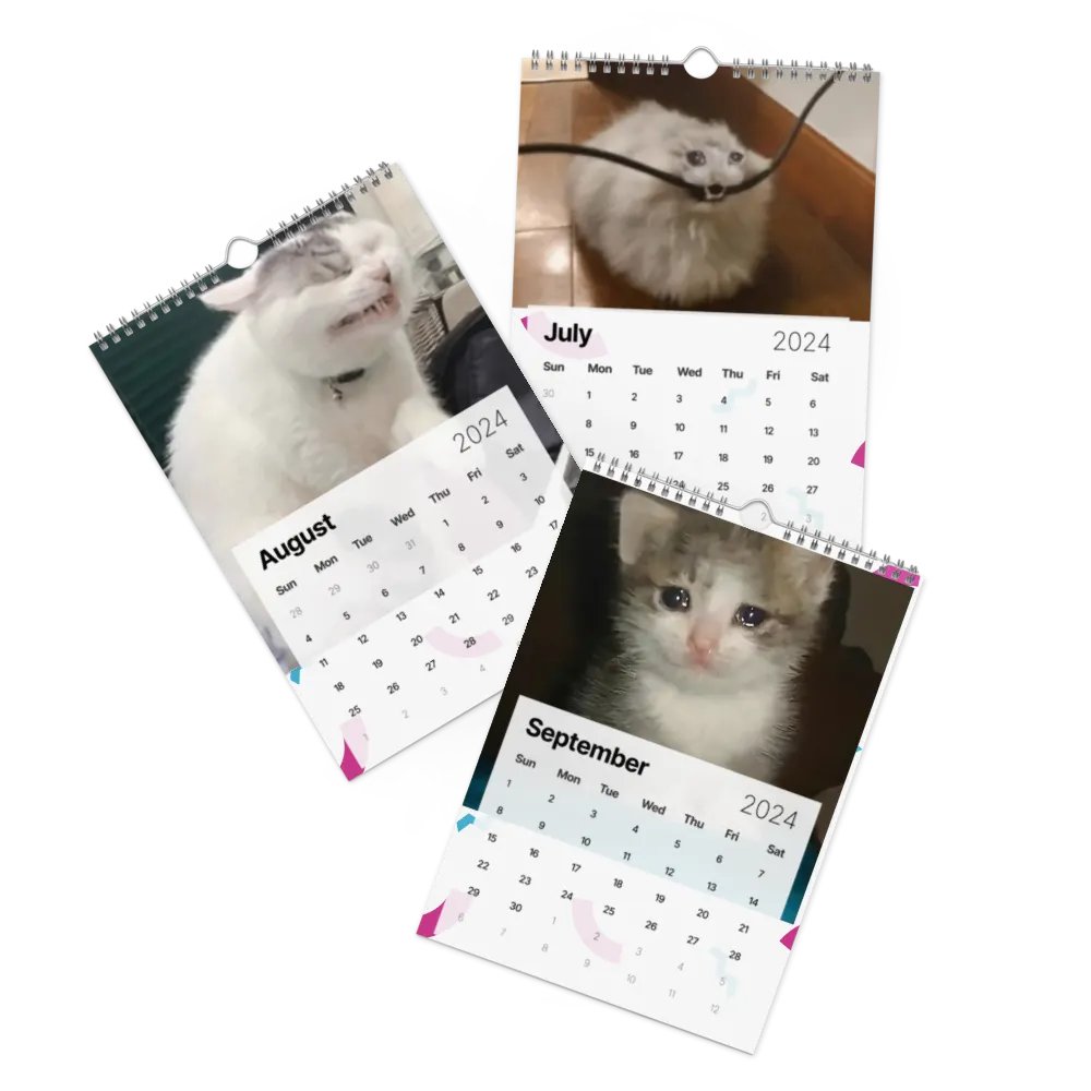 Wall Calendar (2024): Meme Cats product image (11)