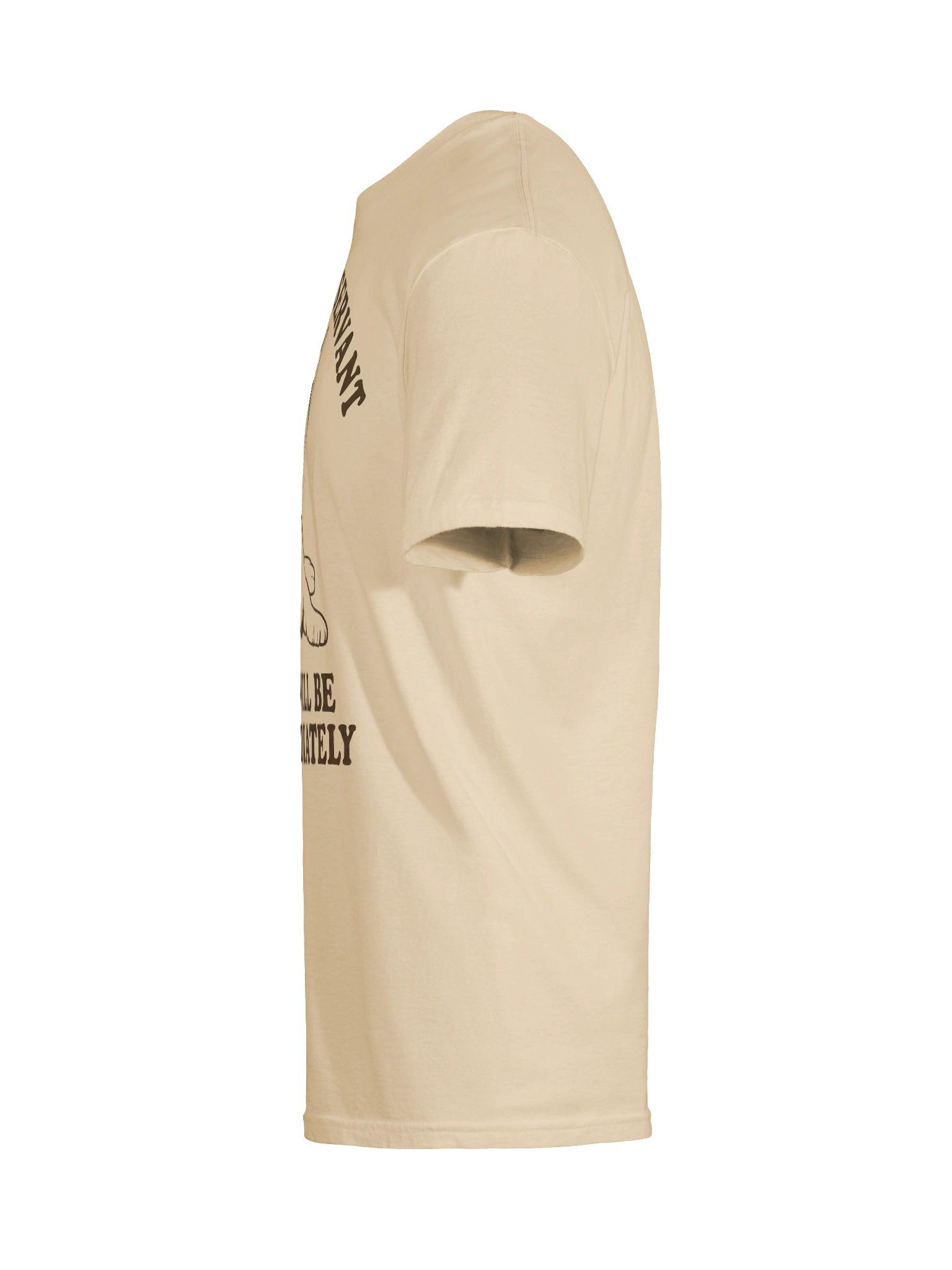 Cat Meal Servant T-Shirt product image (41)