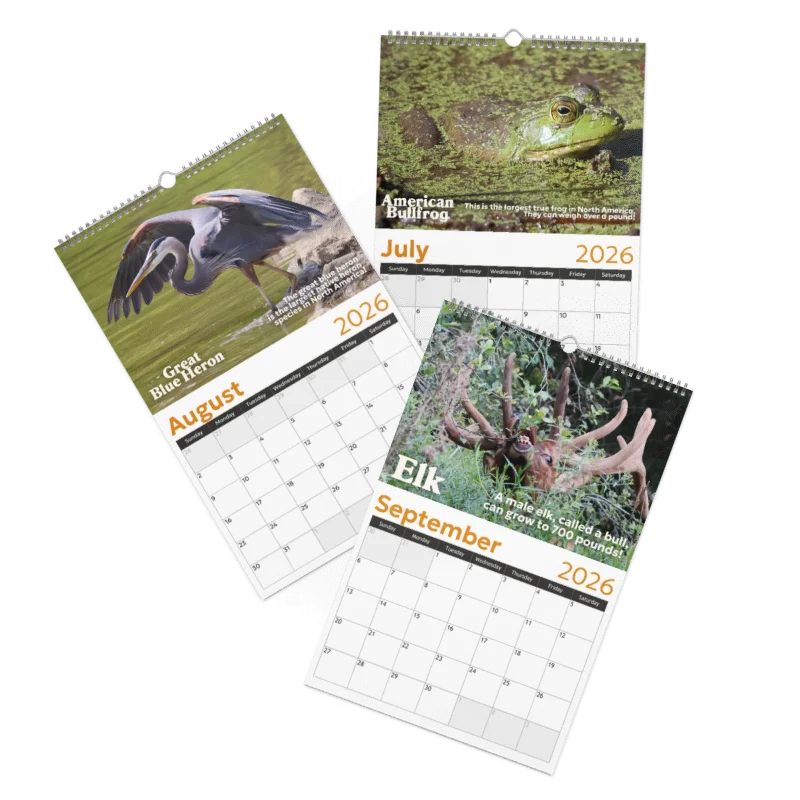 2026 Wall Calendar product image (4)