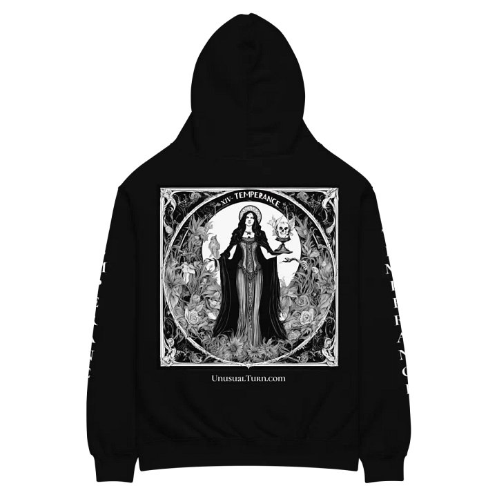 14 - Temperance Oversized Hoodie product image (2)