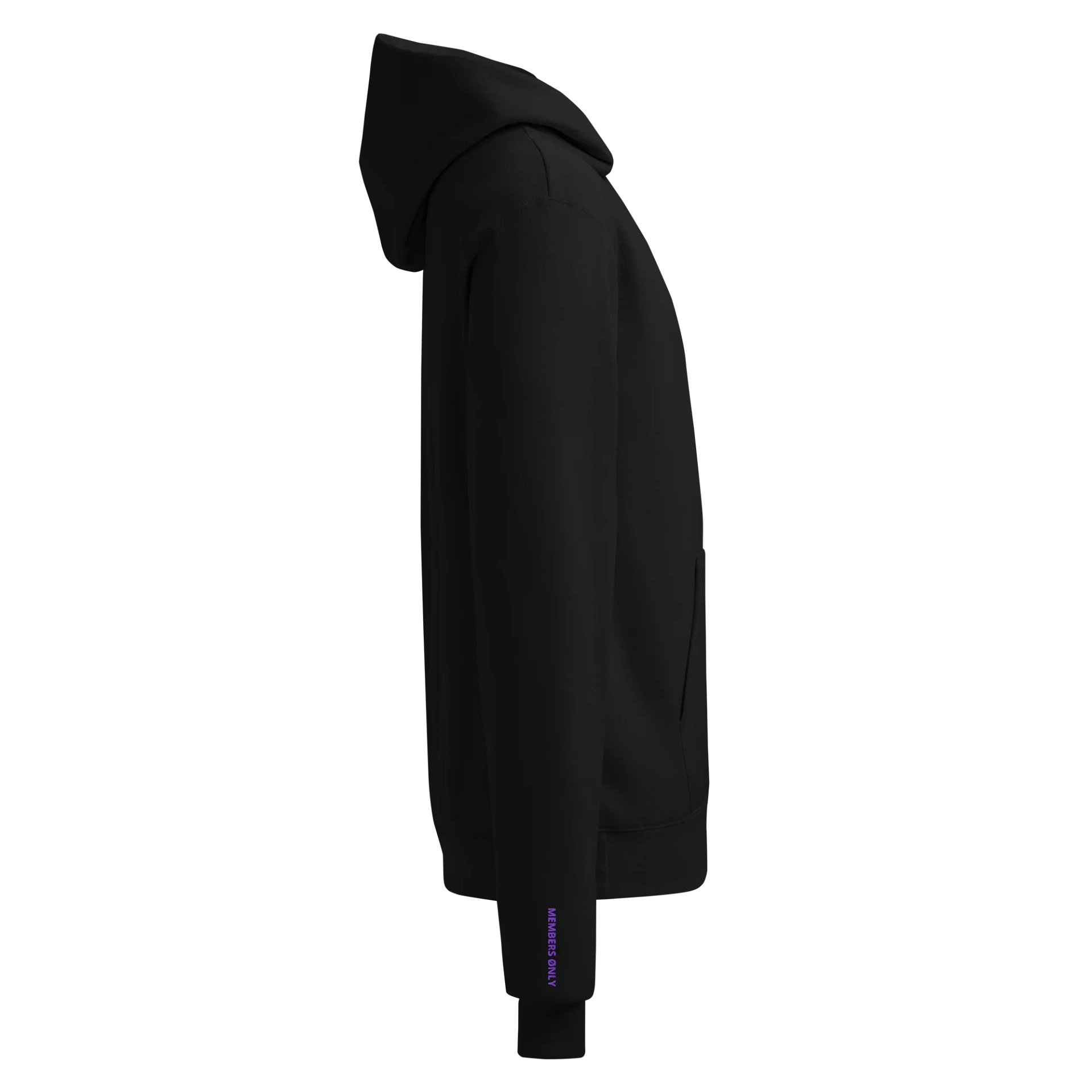 PvinGvng Members Only/Champion Hoody product image (5)