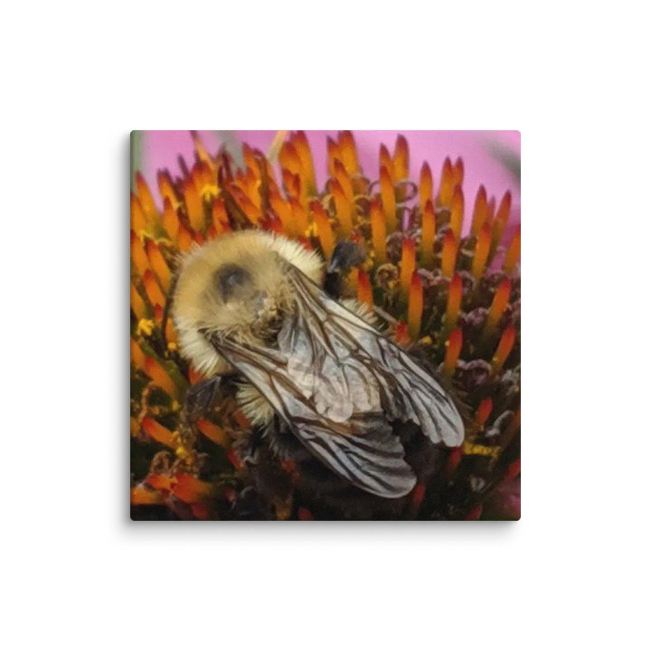 Bumble Bee product image (9)