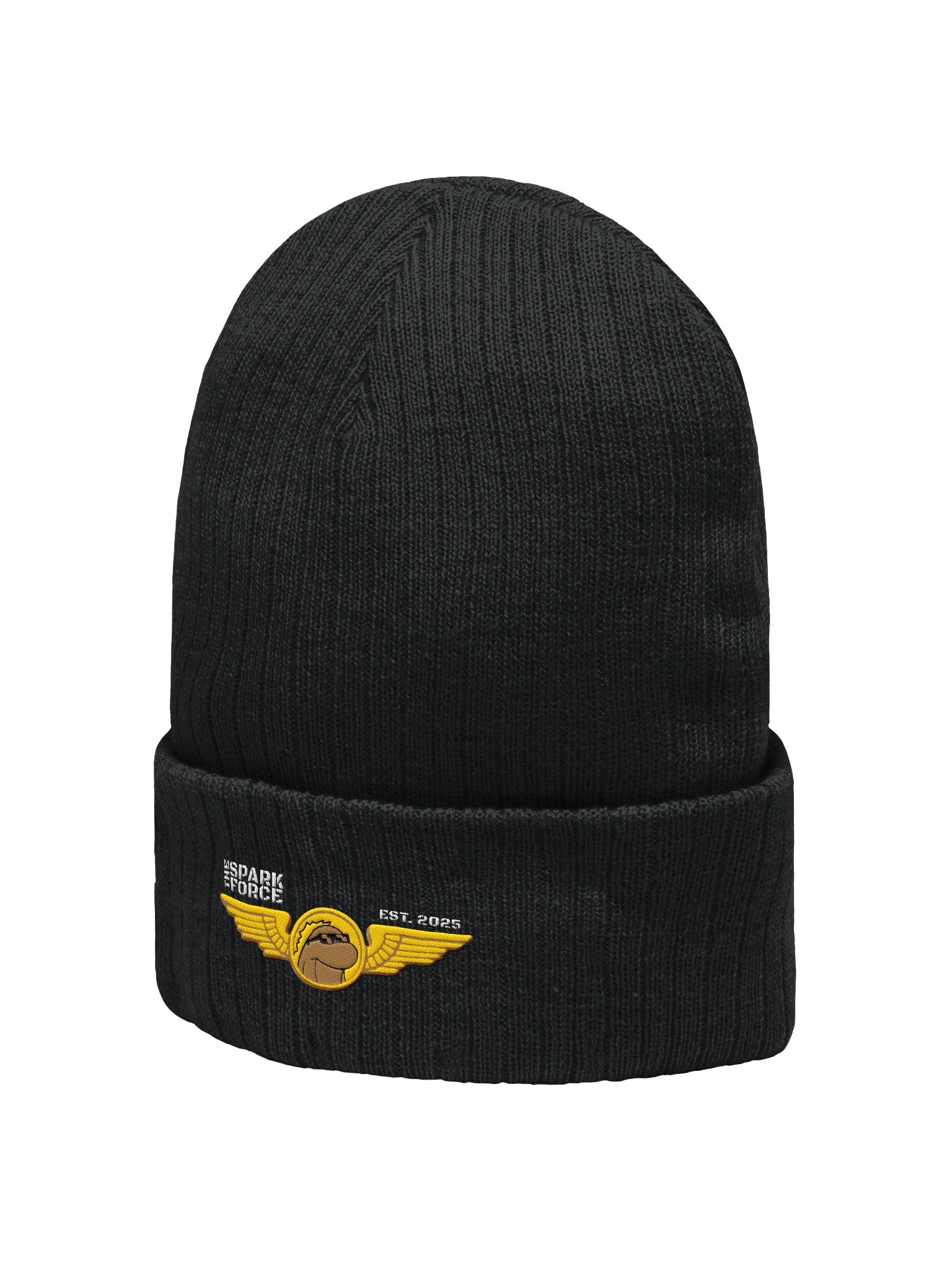 Beanie product image (2)