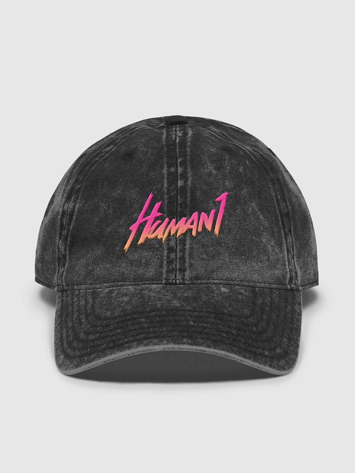 Human1 Embroidered Gradient || Vintage Dad Hat product image (3)