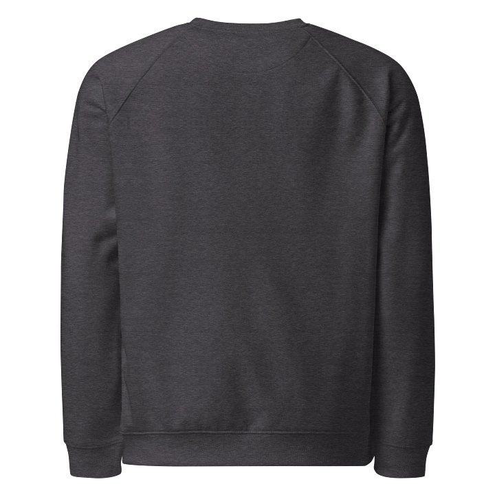 Dragon Crest Unisex Raglan Sweatshirt product image (2)