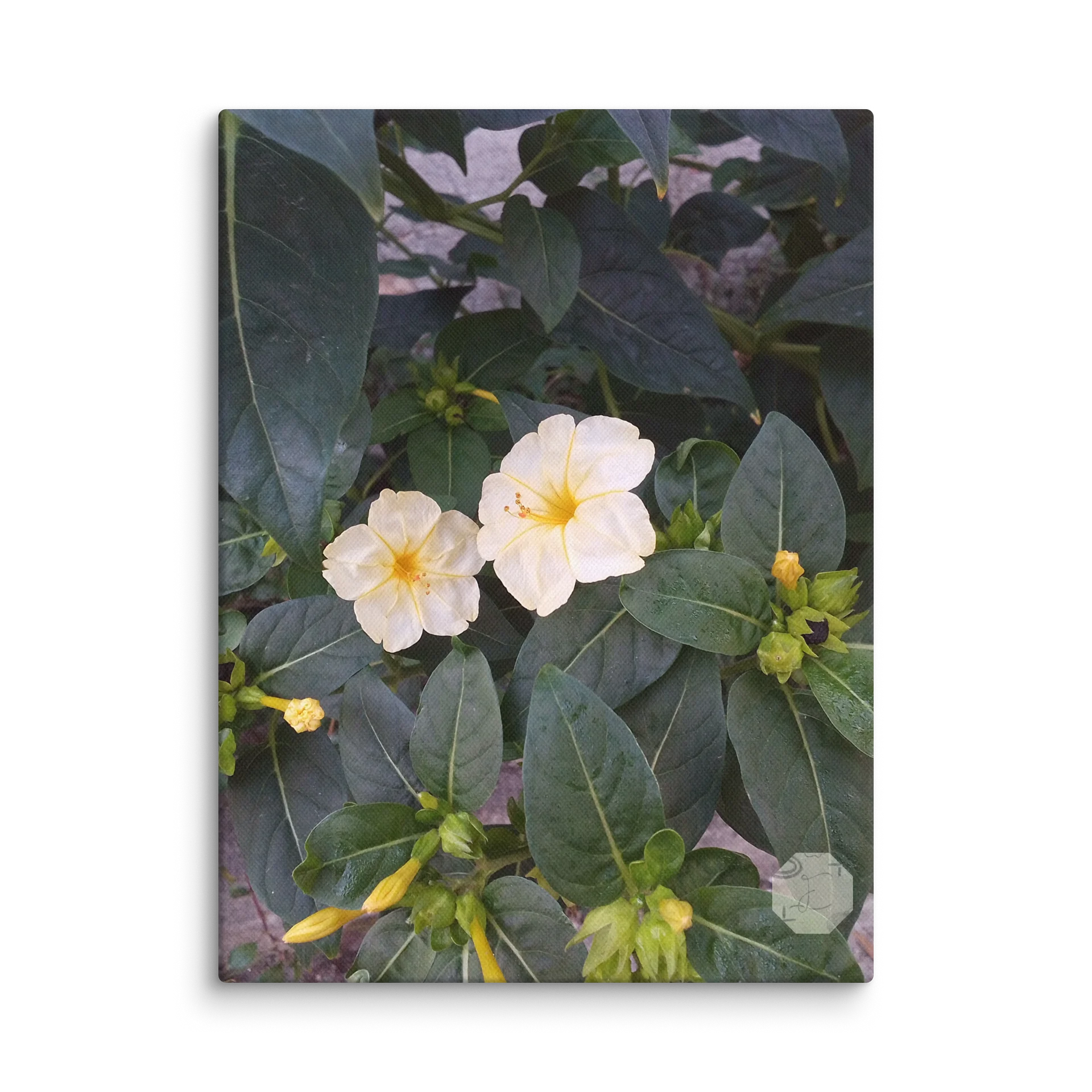 M. JALAPA: The Admirable Bloom - Canvas Fine Art product image (2)