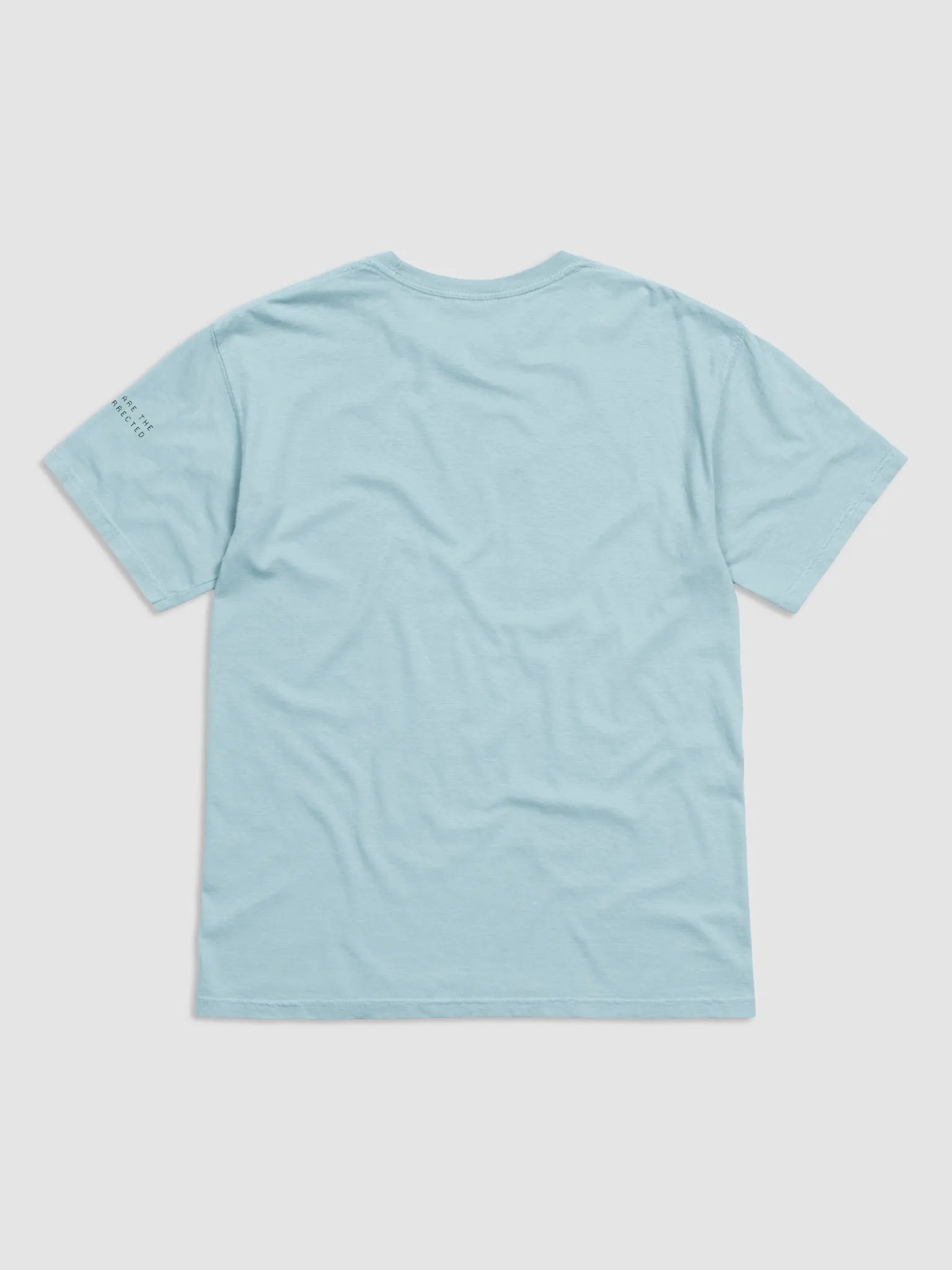 Jesus Be a Filter product image (10)