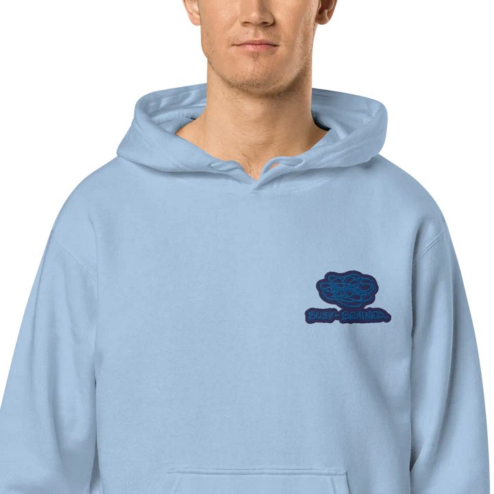 BUSY-BRAINED (L.C. lake design) embroidered pigment hoodie product image (1)