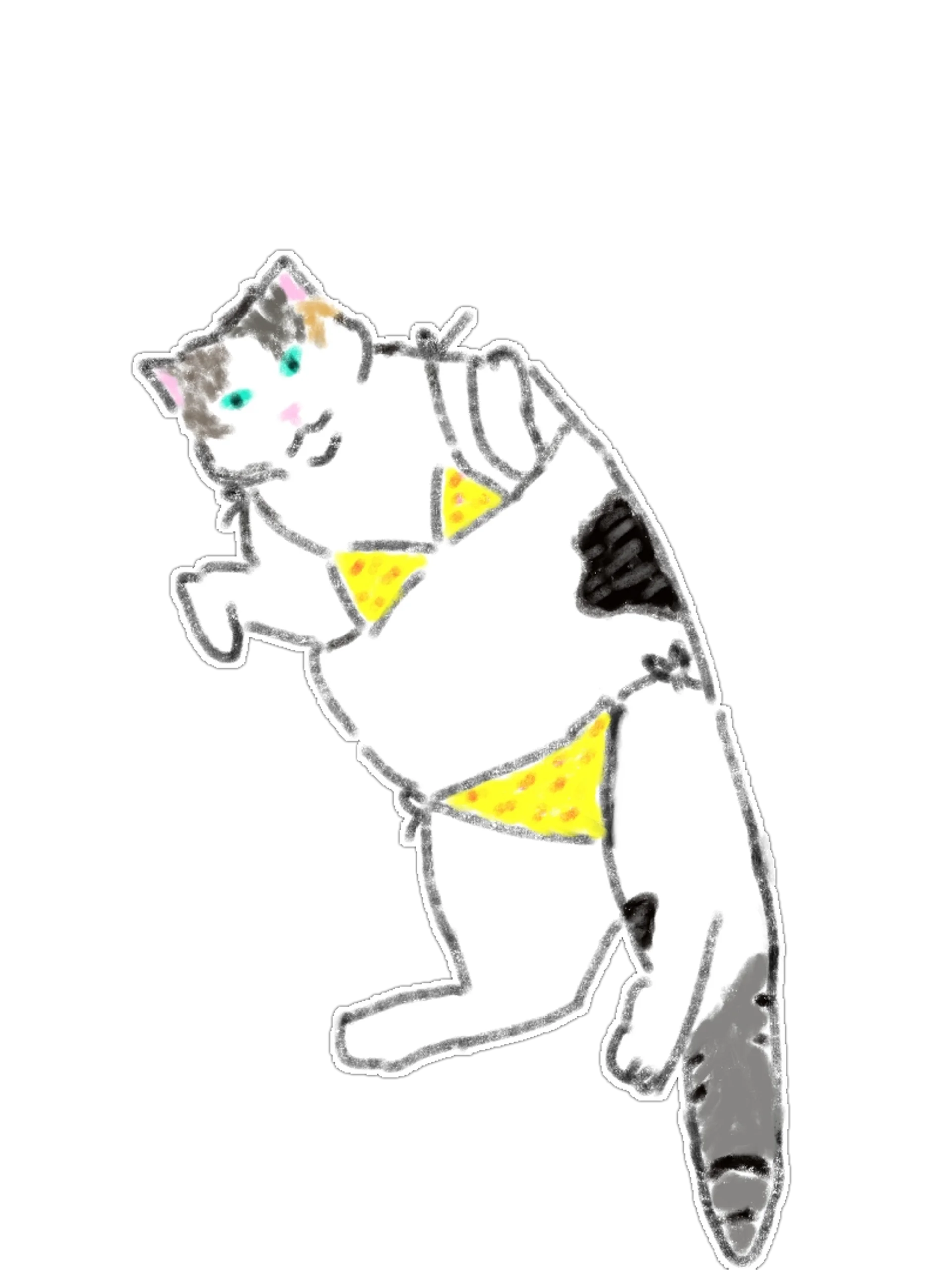 15 Cute Hand-Drawn Cat PNG Clipart Bundle product image (3)