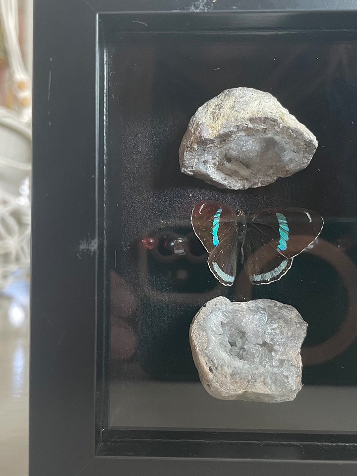 Split Geode & Electric Banded Butterfly Shadowbox product image (1)