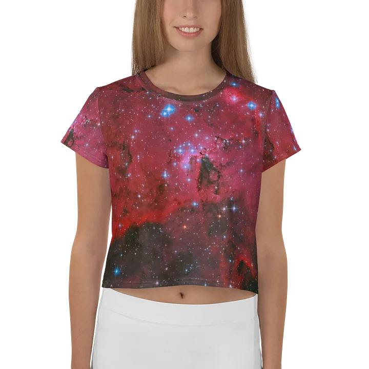 LH 95 Crop Top product image (1)