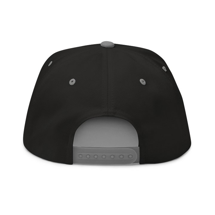 BUMPSKI & CO/POWER POWDER - Embroidered SnapBack product image (8)