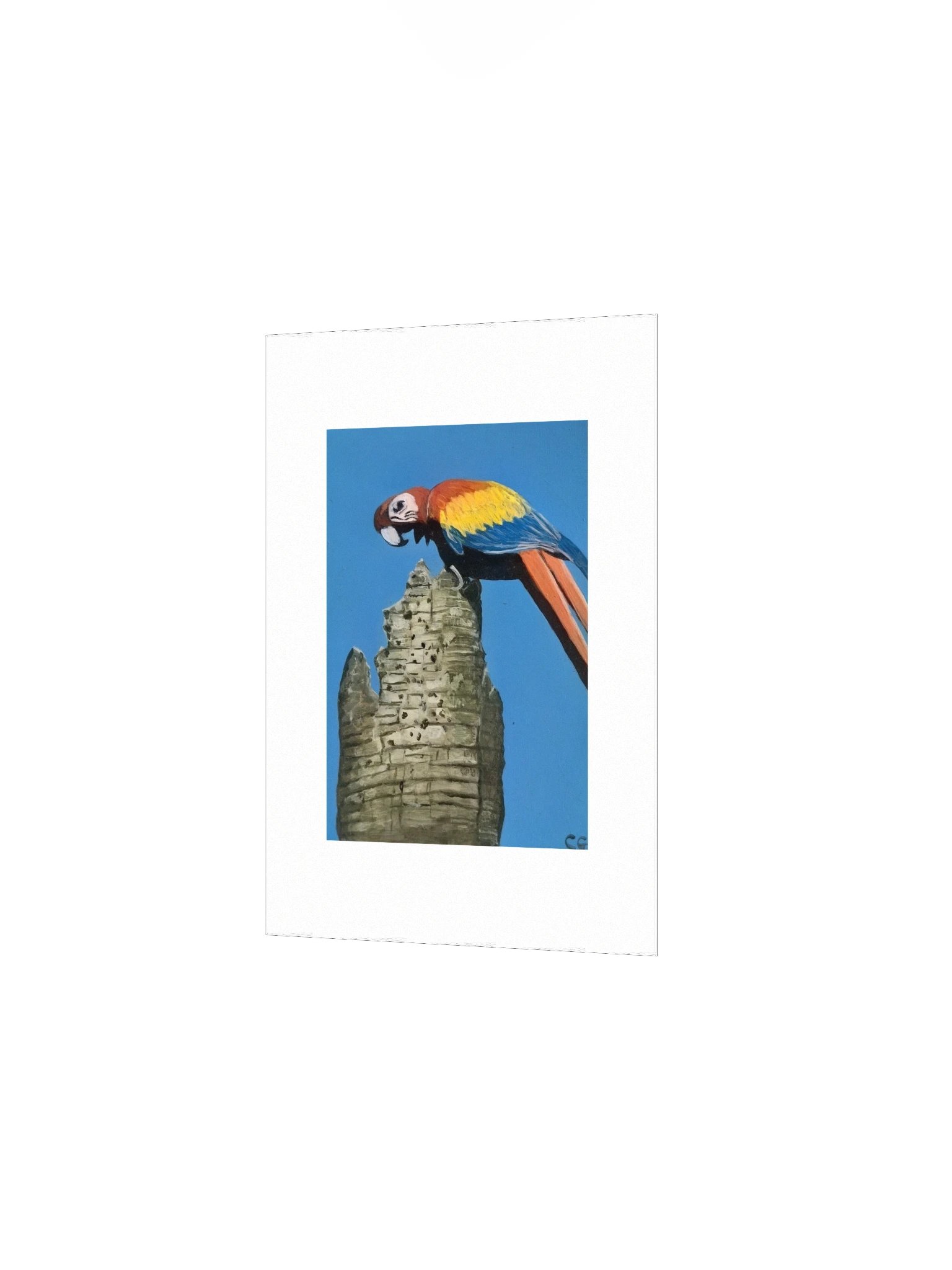 Scarlet Spirit of Playa Blanca Matte Poster product image (2)