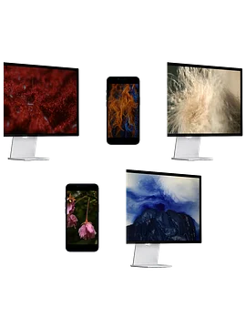 holding | digital wallpaper collection | eza | casa de karma