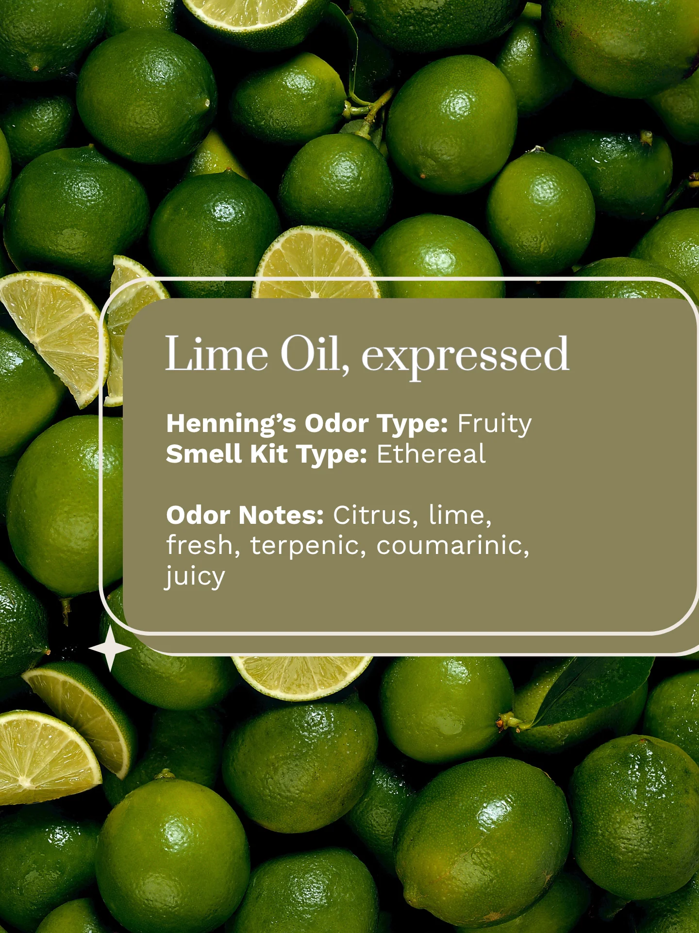 Olfaria Smell Training Kit | Set 4 | 5 Single-Note Essential Oils | Olfactory Training / Smell Loss product image (3)