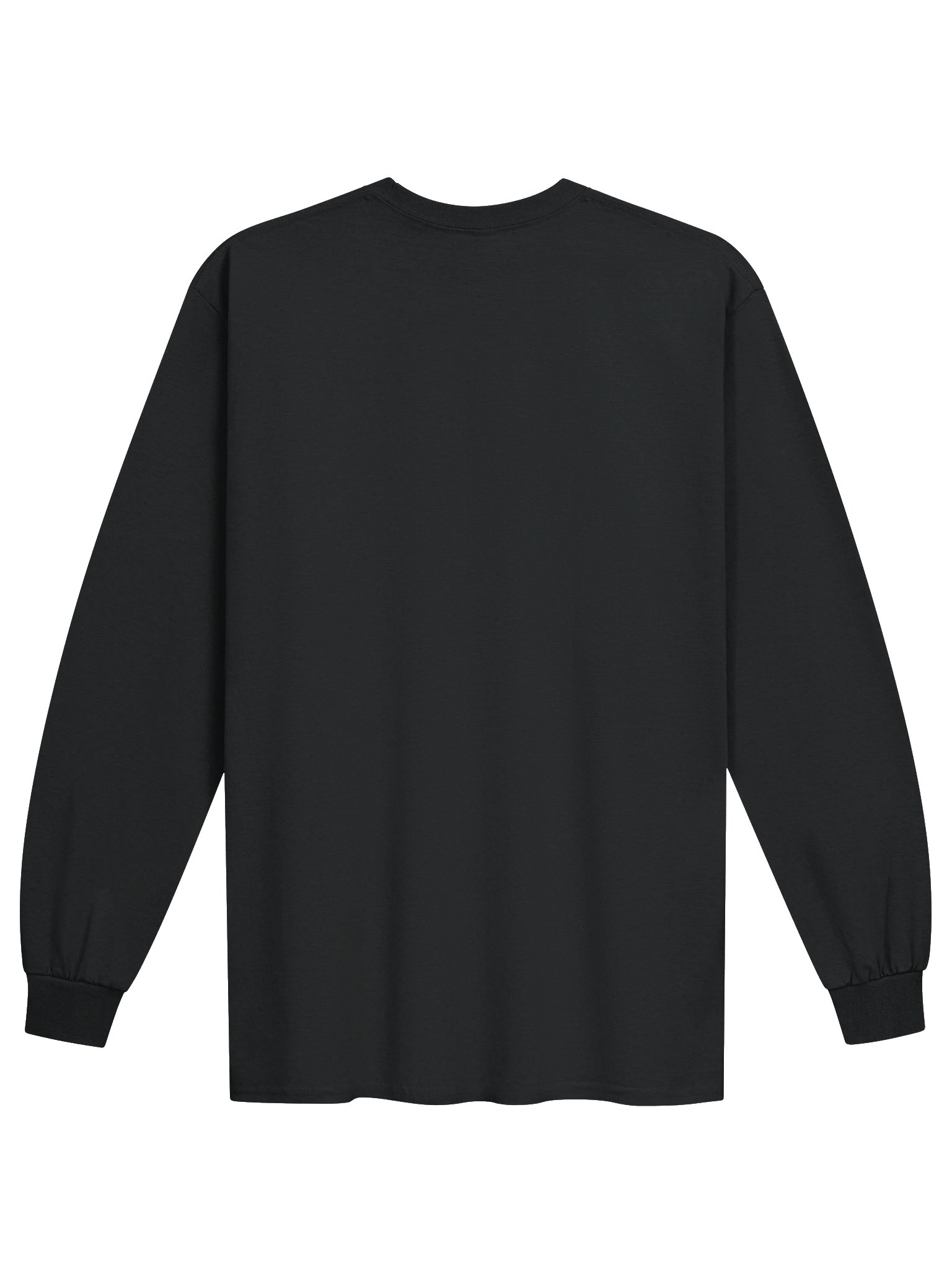 NPC Shirt - Longsleeve product image (2)