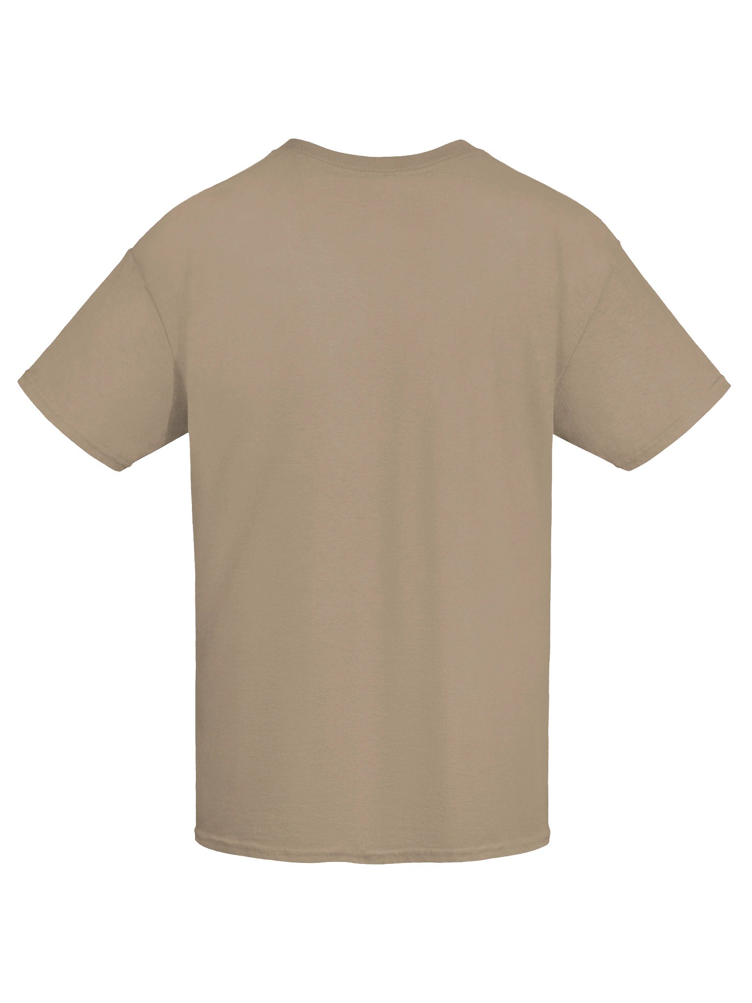The Mastery Standard T-Shirt product image (31)