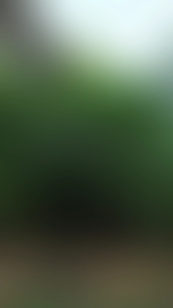 Video thumbnail background