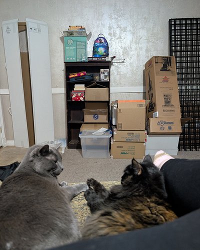 Smoke and Selkie have the right idea. Rest. It was a great weekend, and a big thanks to those that came out and supported the...