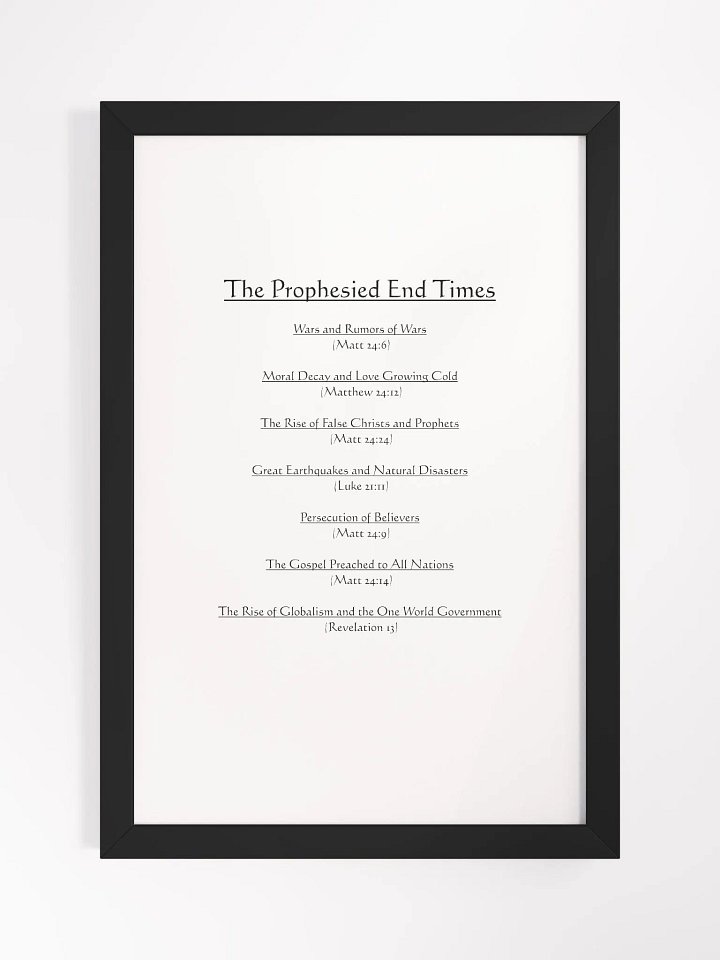 BIBLE: The Prophesied End Times product image (2)