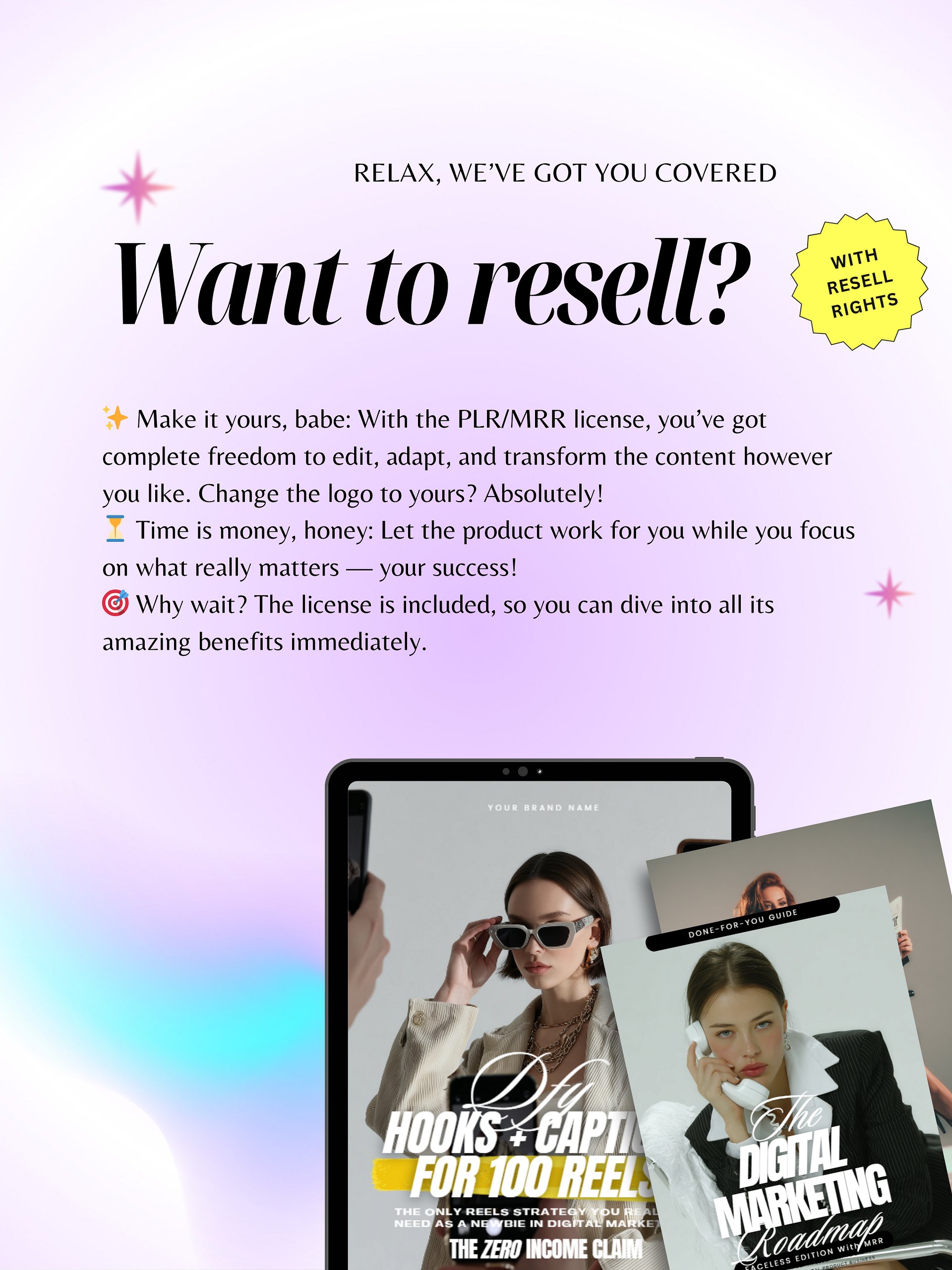 17 PLR eBooks | MRR PLR Bundle product image (4)