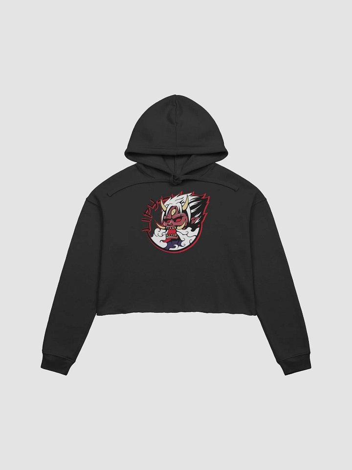 Red Crop Hoodie product image (1)